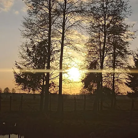 Irena Naruszewicz Huta Szklana (Czarnkow-Trzcianka)