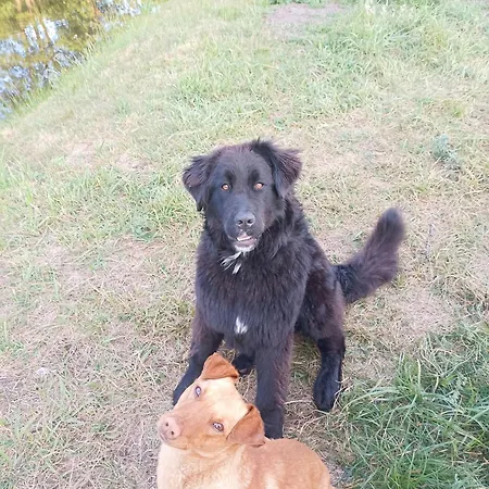 Irena Naruszewicz Gospodarstwo agroturystyczne