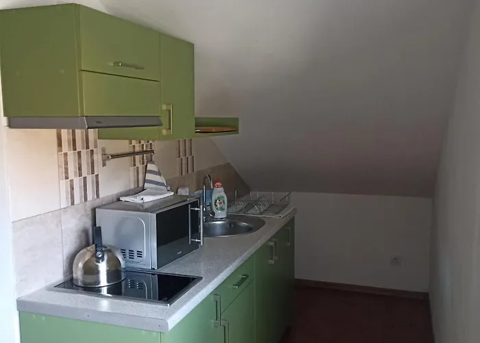 Irena Naruszewicz Huta Szklana (Czarnkow-Trzcianka)